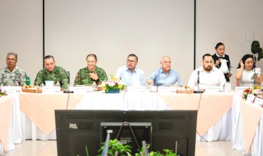 Evalúan acciones de seguridad de nuevos elementos federales