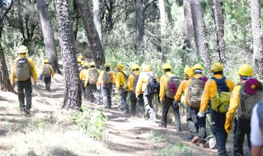 Urgente llamado a cuidar bosques y evitar incendios