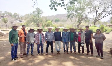 Realizan supervisión de árboles para la reforestación de este año