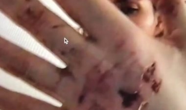 Justicia por violencia de Sergio  Estrada, exige Carla Carrillo H.