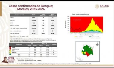 Exponencial crecimiento del dengue este año