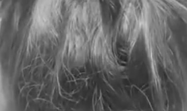 Denuncian red de acosadores sexuales en el SAPAC