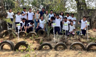 Son 40 jardines polinizadores en Morelos en la actualidad