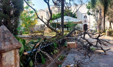 Se quedó sin luz el ALM  por las recientes lluvias