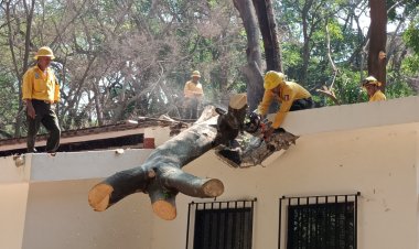 Reabrieron el Parque Barranca Chapultepec tras el retiro de escombros de precipitaciones