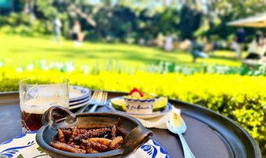 No resuelven a restauranteros sobre venta de alcohol