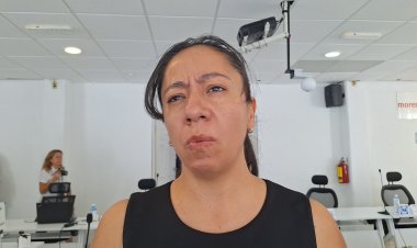 Nuevo récord de observadores  electorales en estas elecciones