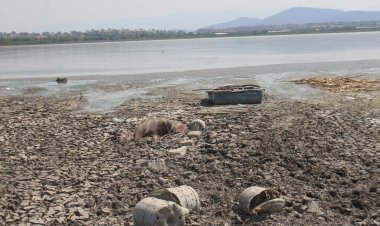 Estado deprimente de la laguna de Coatetelco ahuyenta a turismo