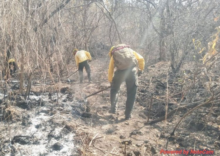 Morelos inicia mayo con seis incendios forestales