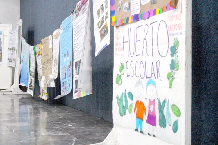 Van 213 escuelas de Morelos a CIMMA '24