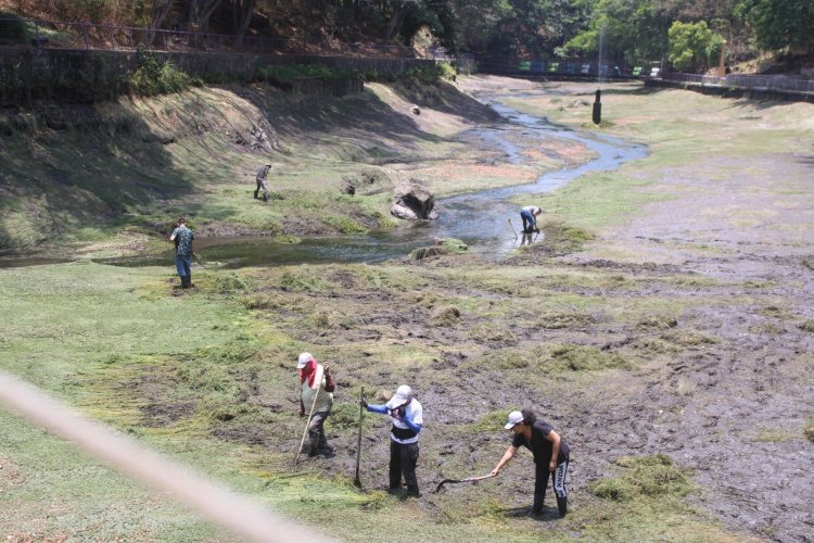 Se inició la limpieza del lago del Parque Barranca Chapultepec