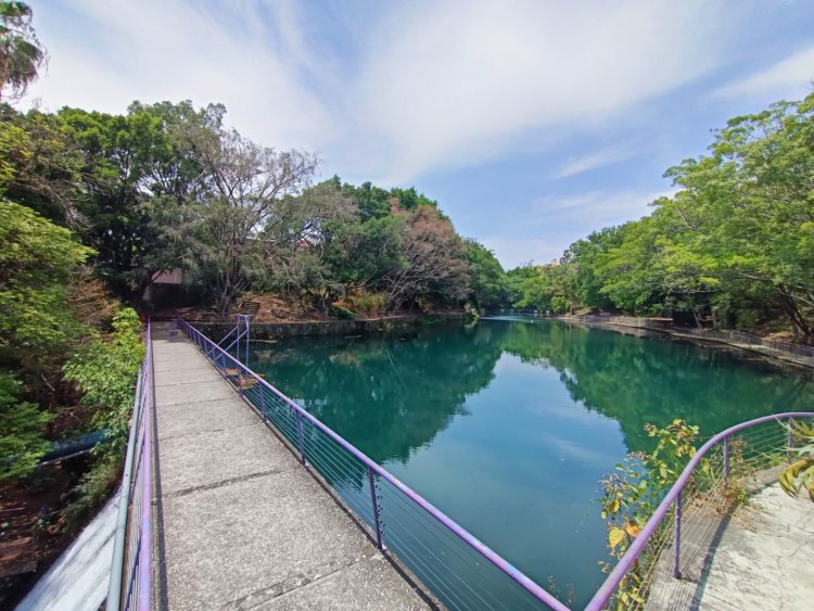 Ya espera a visitantes el lago del Parque Barranca Chapultepec