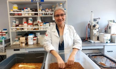 Científicos trabajan en producción de insectos para consumo humano