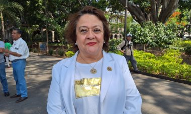 Piden médicos privados acción contra el dengue