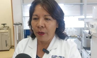 En Morelos se desarrolla vacuna contra cisticercosis porcina, a base de papaya