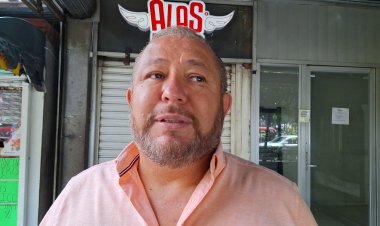 Las ¨guardias de seguridad  interna¨ resultan irregulares