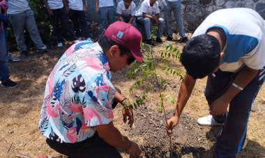Arboriza Desarrollo Sustentable áreas verdes de secundaria “Ermilo Abreu”