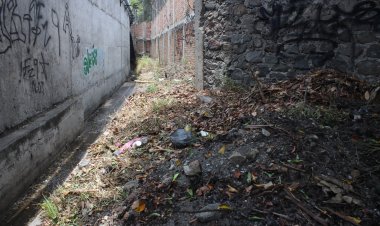 Ya que el ayuntamiento no lo hace, los vecinos de Chipitlán limpian alcantarilla