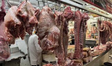 Pide el ALM no malinformar sobre la calidad de la carne