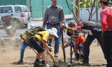 Gobierno de Jiutepec reforesta espacios públicos