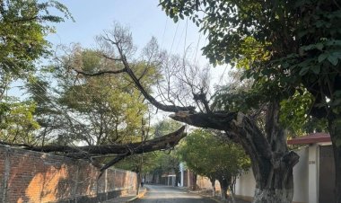 Precipitación pluvial ocasionó estragos en calles de Jiutepec