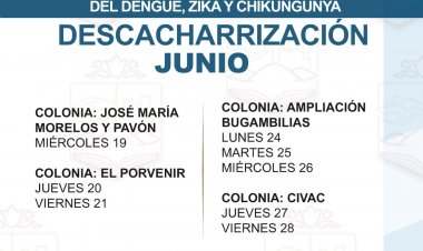 En Jiutepec, se aplica limpieza para evitar los males de vector