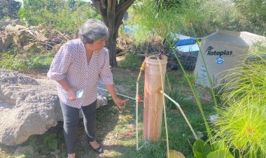 Diseñan humedal para tratar las aguas de  Desecho alumnos de Técnicos Laboratoristas