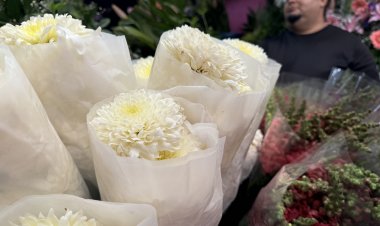 Venta de rosas, a la baja por la escasez de lluvias