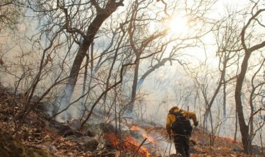 Se pide seguir previniendo el fuego forestal pese a presencia de lluvia