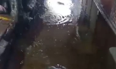 Área de los andenes del ALM, inundada