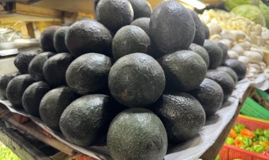 Aguacate, chayote y cilantro, dolor de cabeza para las amas de casa