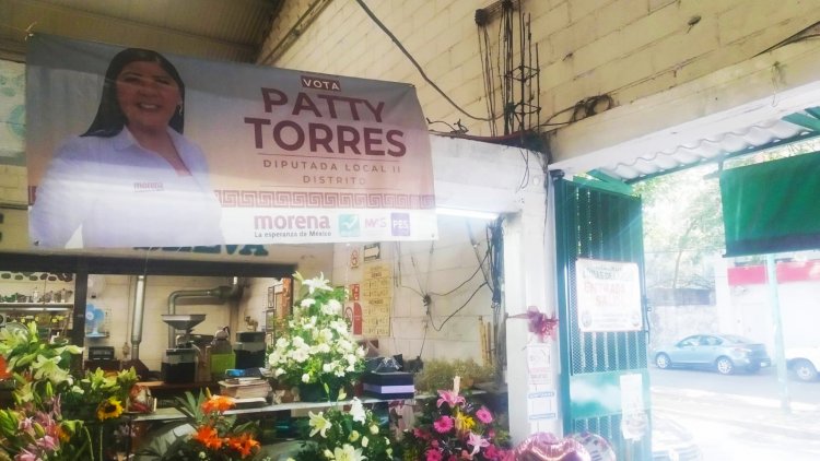 Patricia Torres mantiene propaganda cerca de casillas
