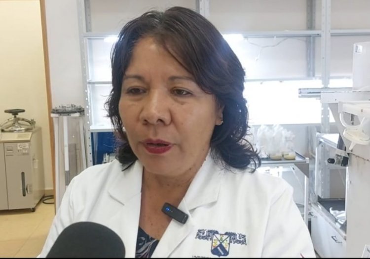 En Morelos se desarrolla vacuna contra cisticercosis porcina, a base de papaya