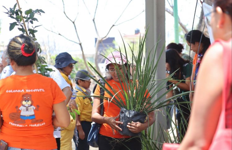 Gobierno de Jiutepec reforesta espacios públicos