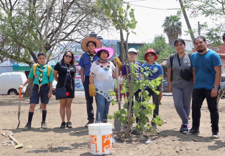 Gobierno de Jiutepec reforesta espacios públicos