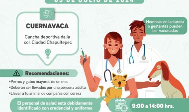 Ofrecen vacunas gratuitas para perros y gatos