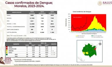 Son ocho ya las muertes  por dengue durante 2024