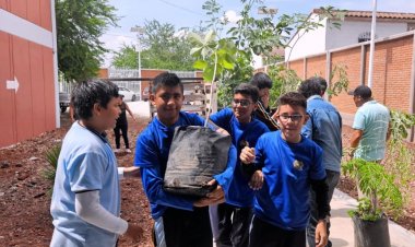 Llevan árboles a escuela secundaria de Cuautla