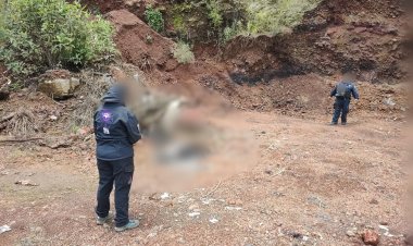 Aparecen huesos humanos en el municipio de Huitzilac