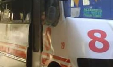 Ruta 8, aparentemente sin frenos, dañó barda del Jardín Borda