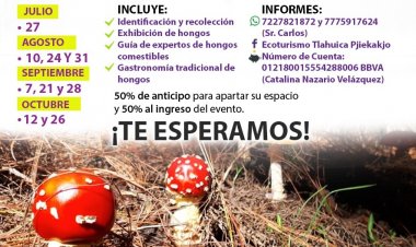 Invitan a hacer micoturismo en las Lagunas de Zempoala