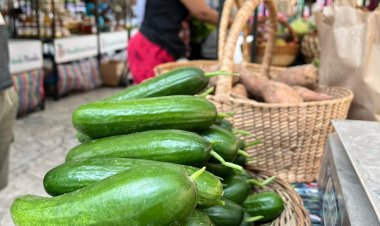 Fue un éxito la edición 133 del Mercadito Verde Morelos