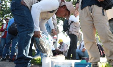 En 287 mil casas se realizan labores para prevenir dengue