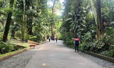 Cierran el Parque Chapultepec por incidente eléctrico; evacuan a visitantes