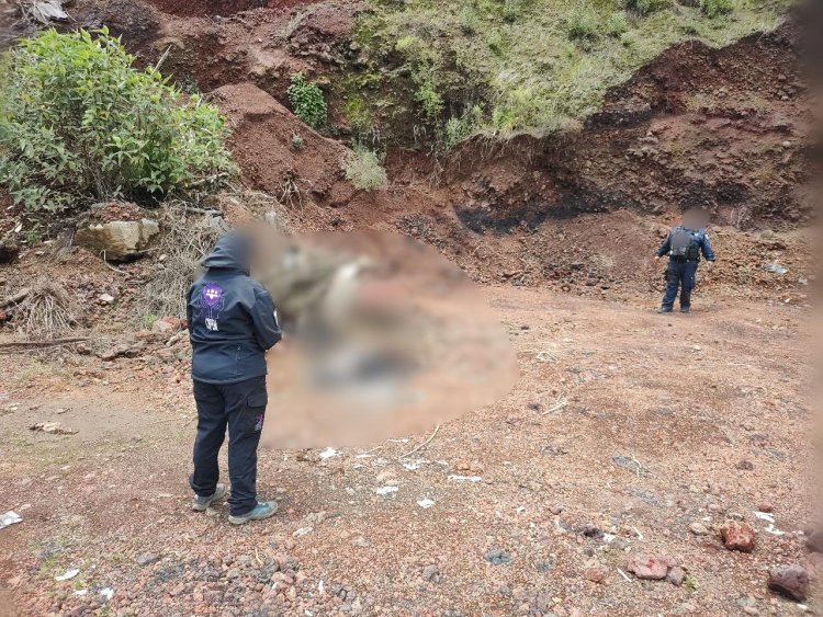Aparecen huesos humanos en el municipio de Huitzilac