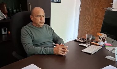 Informan que en Temixco  se reforesta por tala ilegal