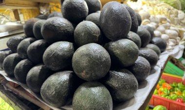 Cilantro, naranja, chayote y aguacate, por las nubes