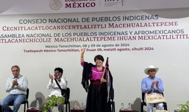 Urge cerrar brechas de desigualdad en  los pueblos indígenas: Guillermina Maya