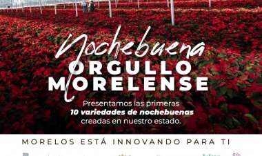 Aquí se crearon primeras nochebuenas mexicanas formalmente ya registradas