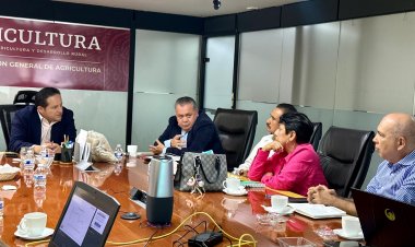 Trabajan los gobiernos estatal y federal por mejor precio al arroz